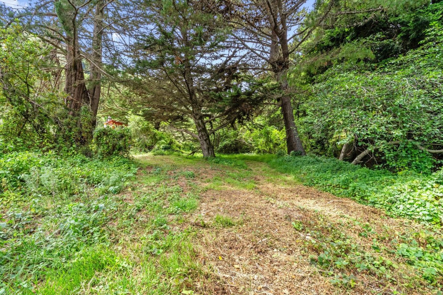 Property photo 19