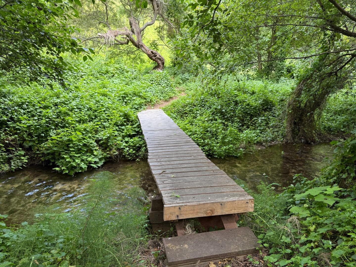 Property photo 38