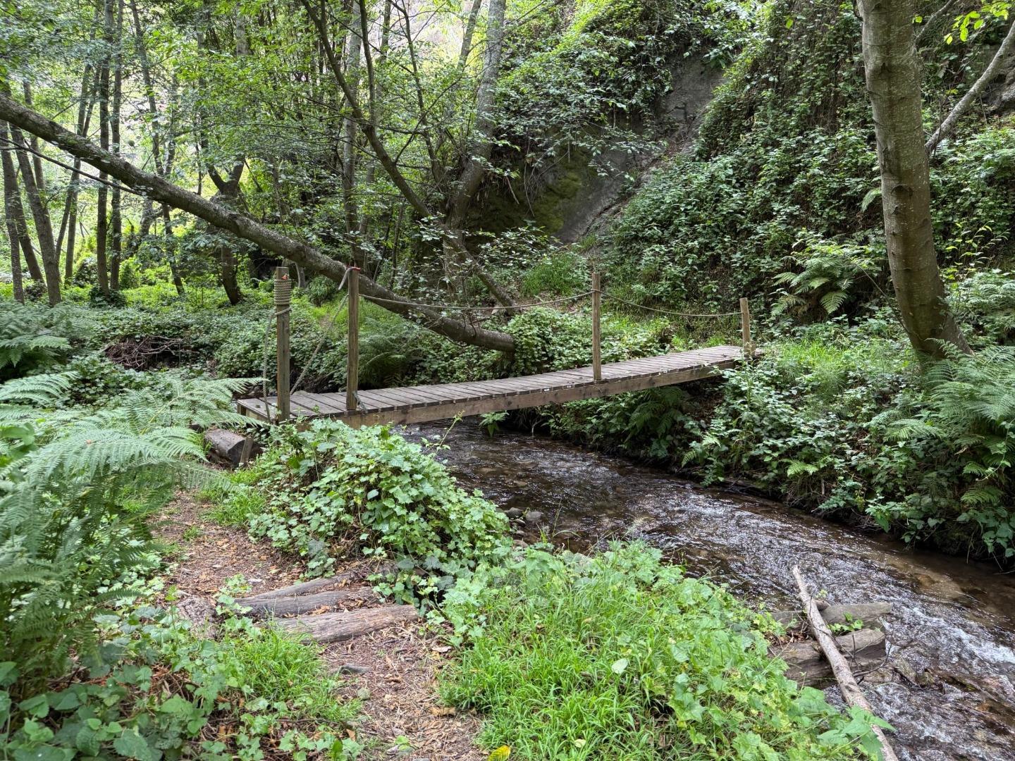 Property photo 40