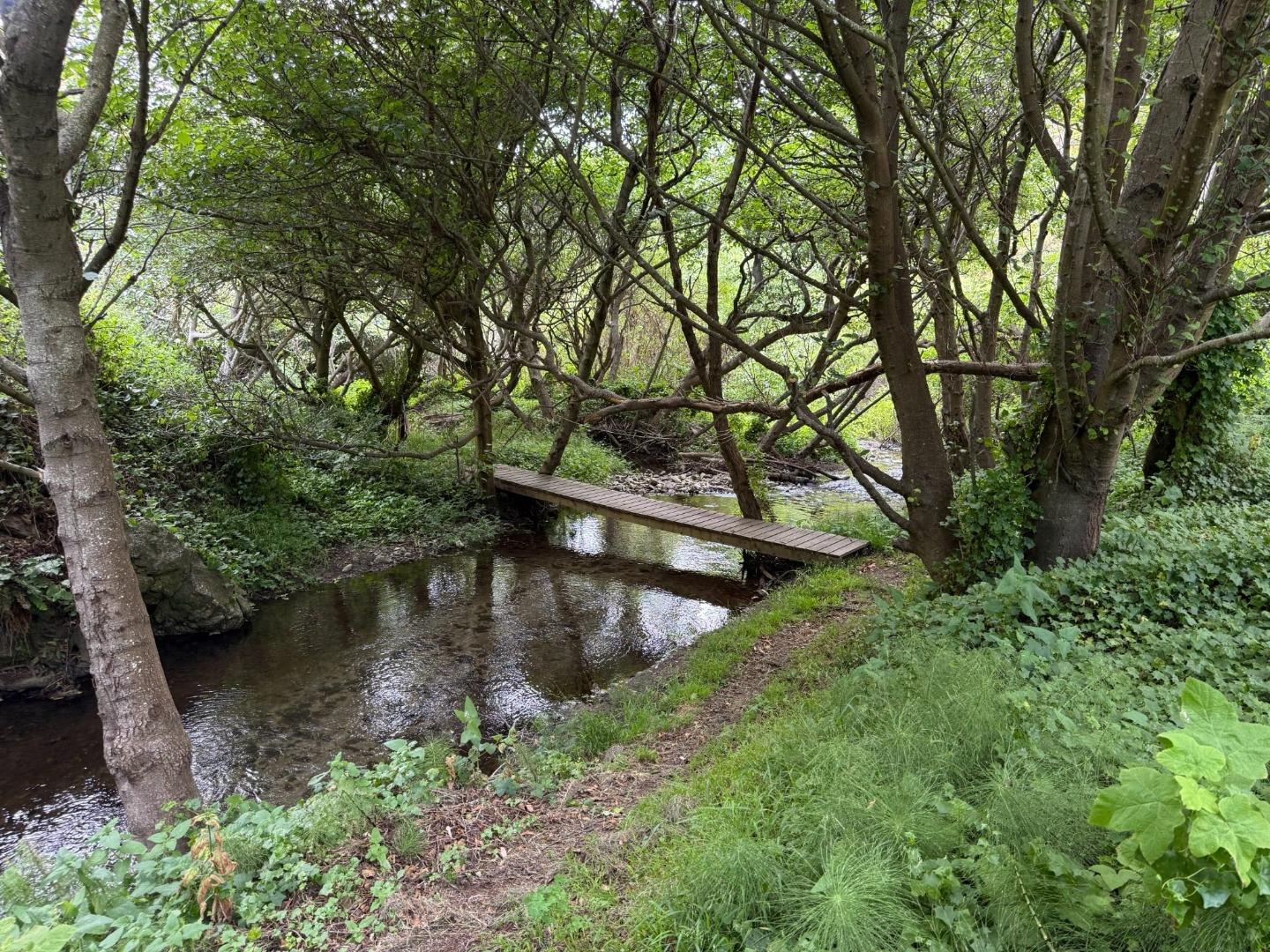 Property photo 41