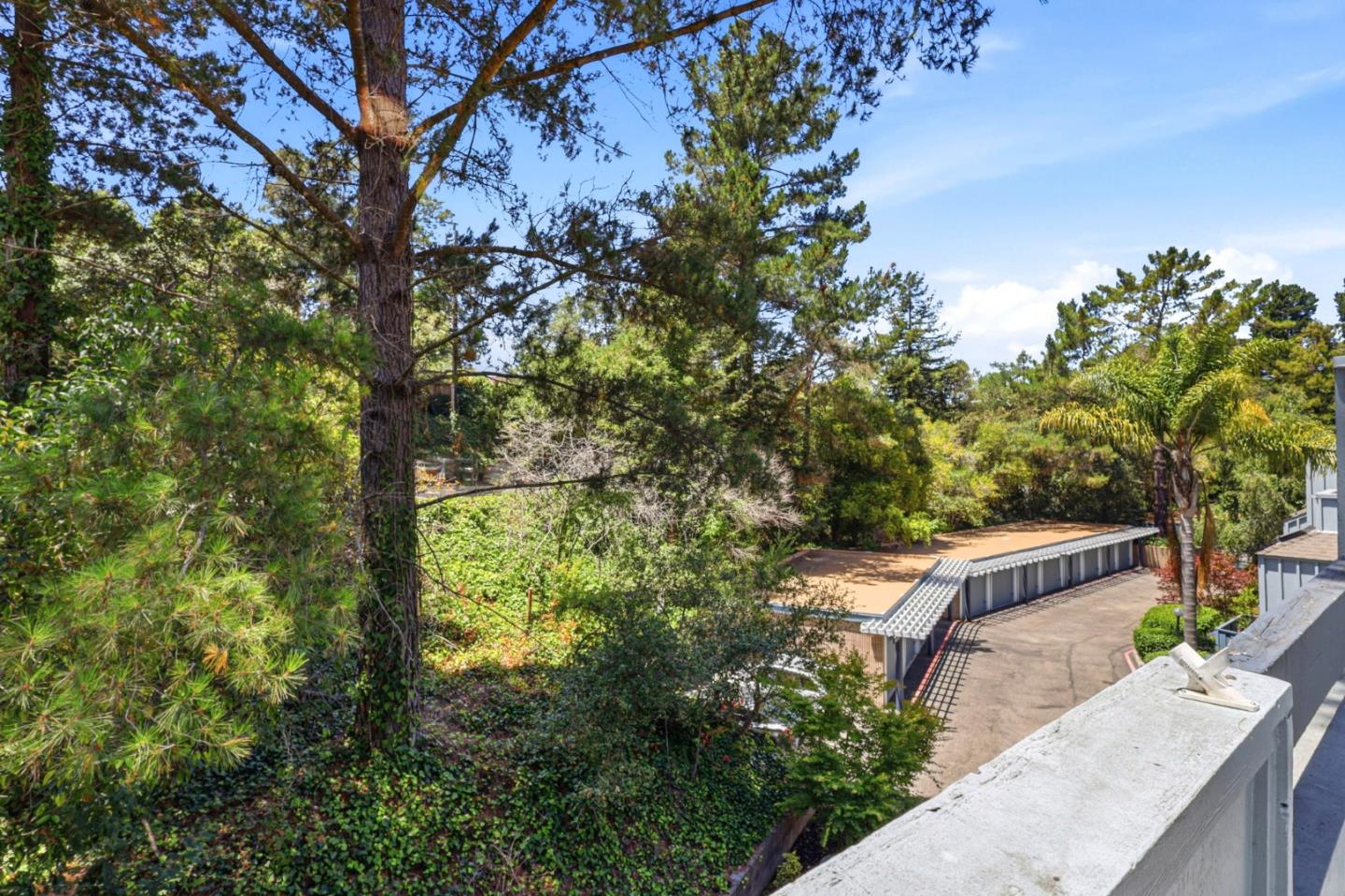 Property photo 44