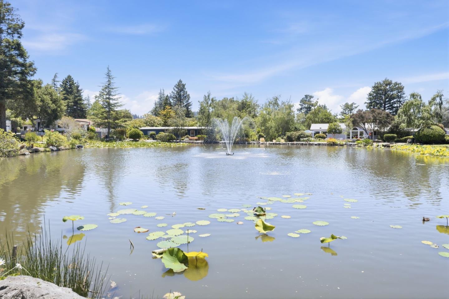 Property photo 44