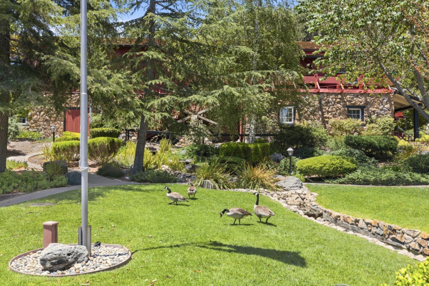 Property photo 47