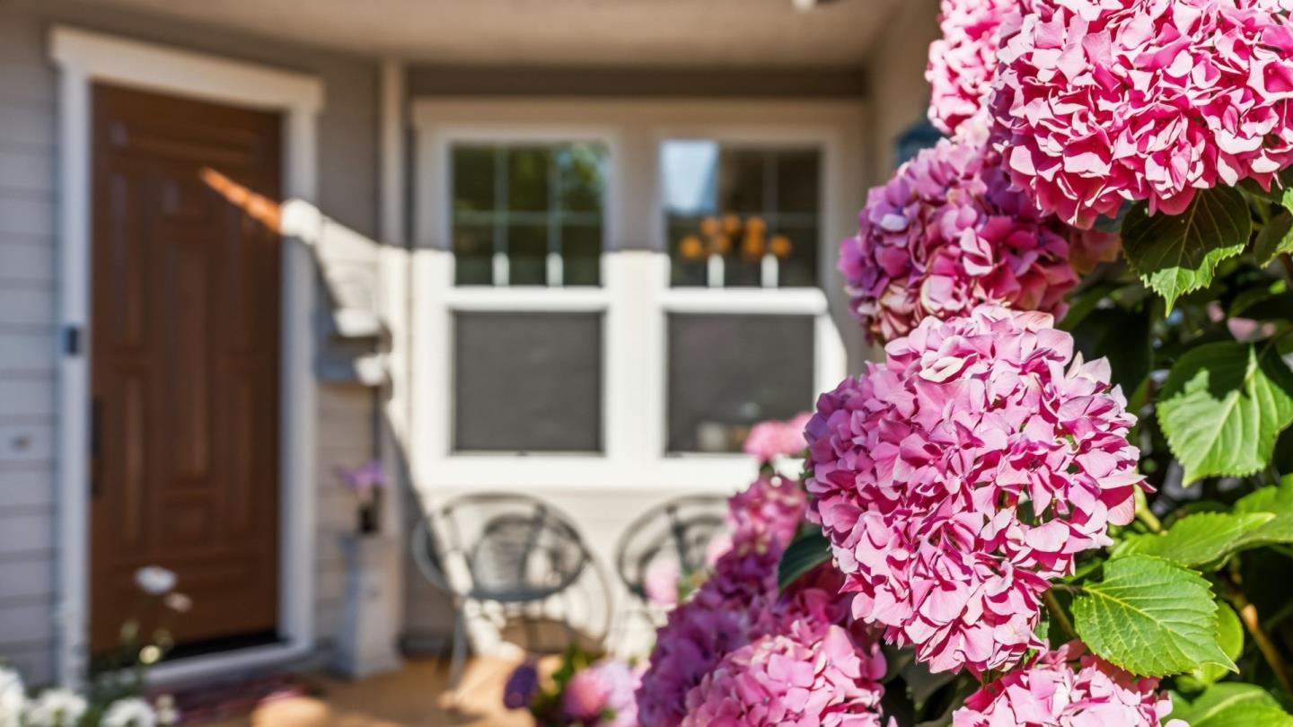Property photo 38