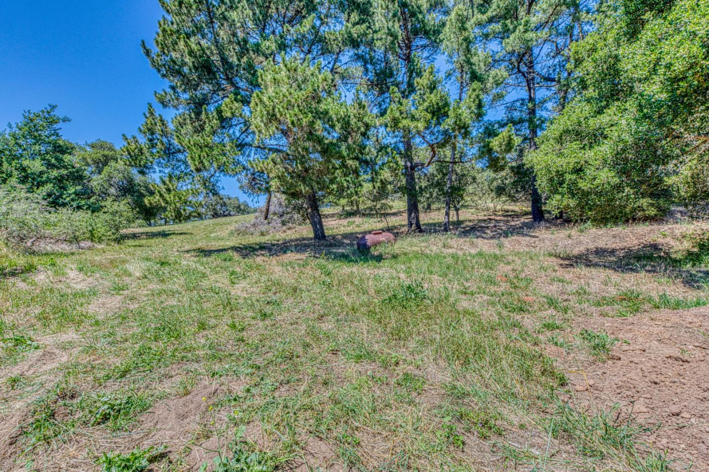 Property photo 35