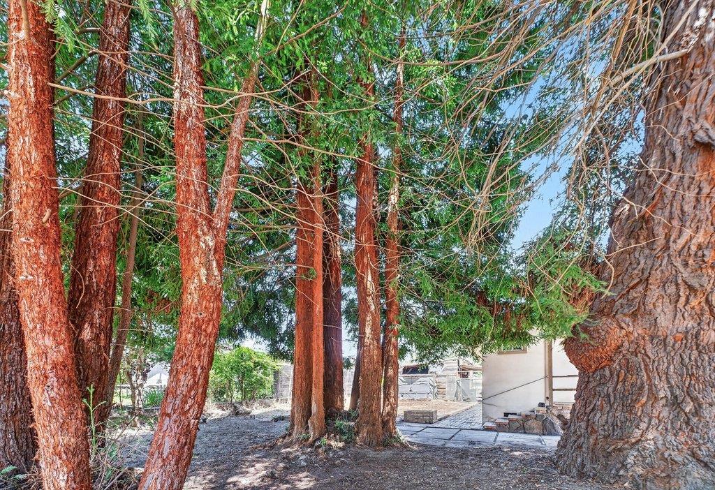 Property photo 51