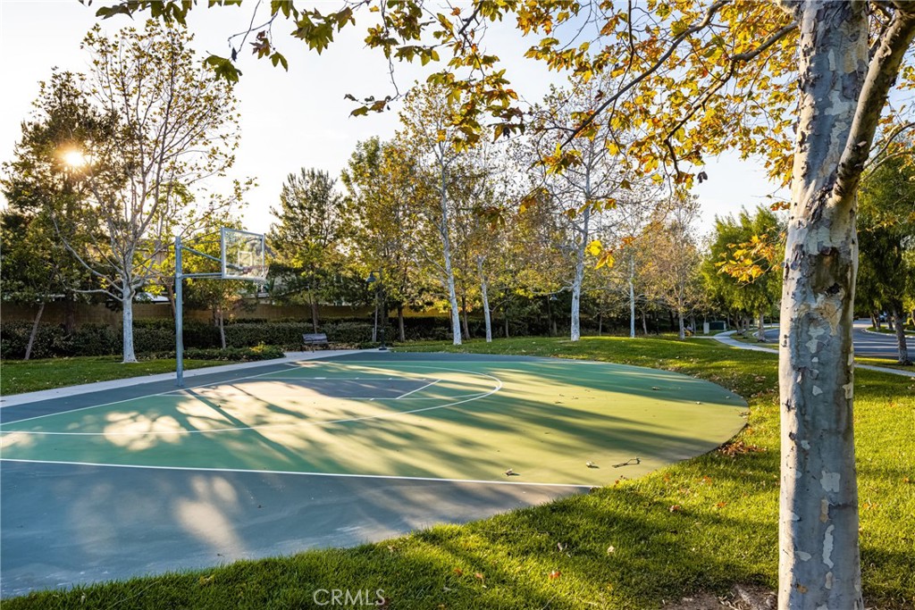 Property photo 46