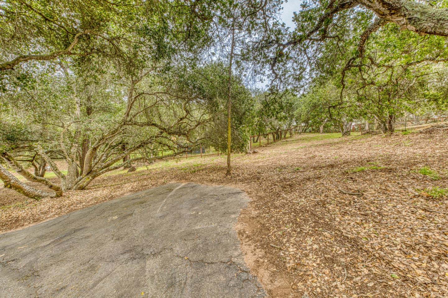 Property photo 42