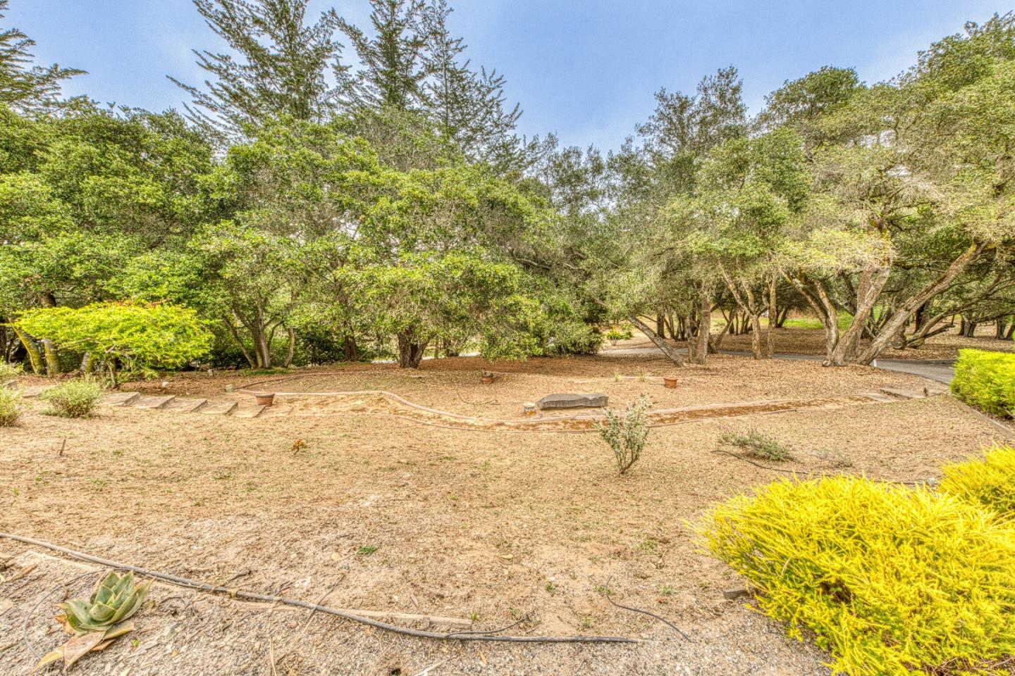 Property photo 44