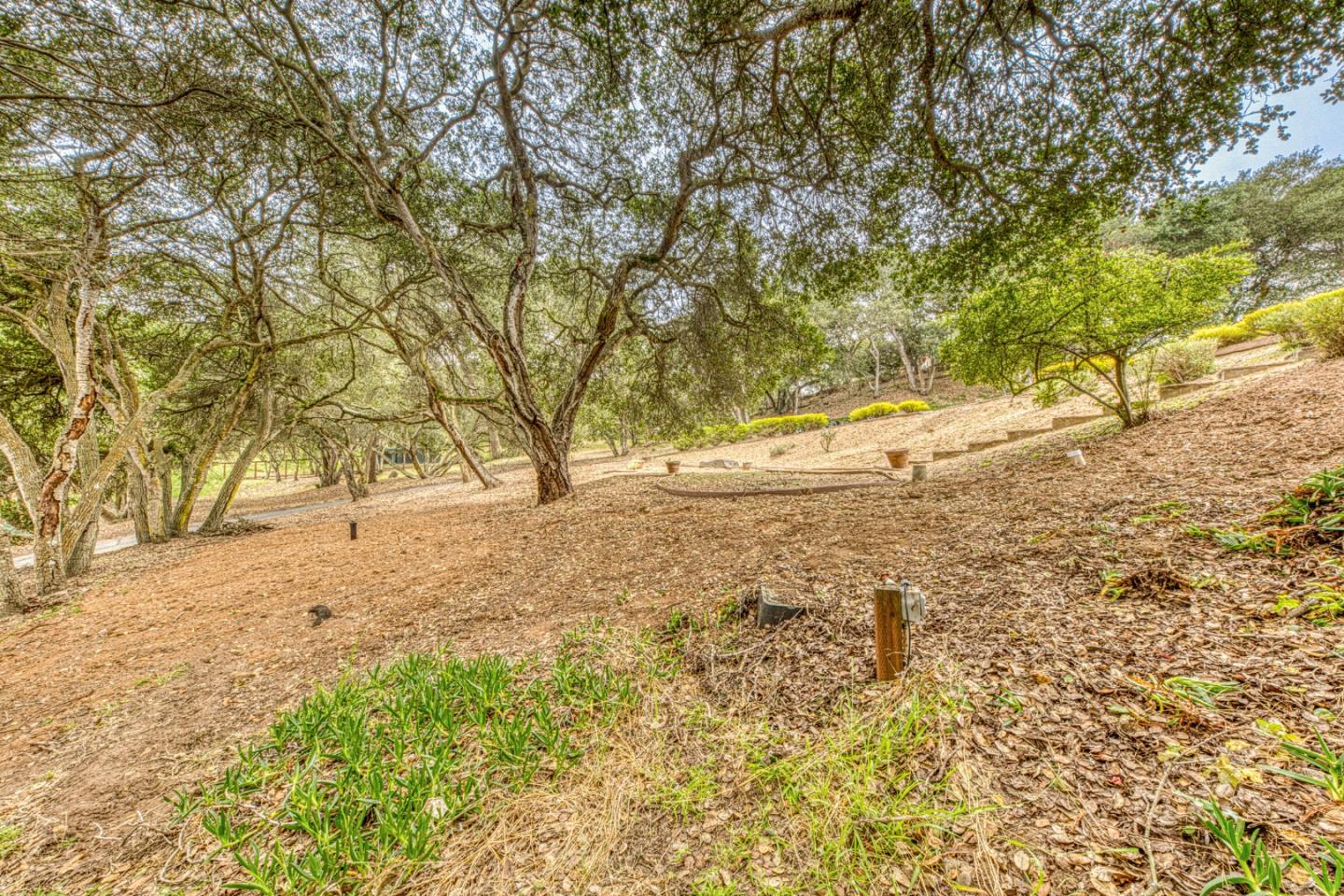 Property photo 46