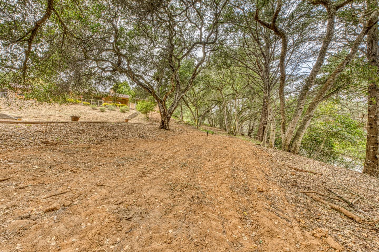 Property photo 47