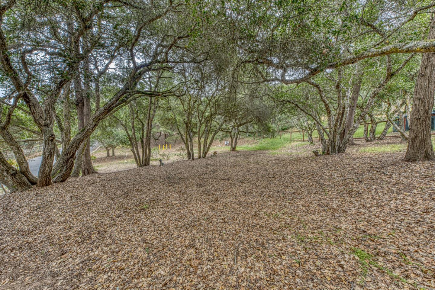 Property photo 48
