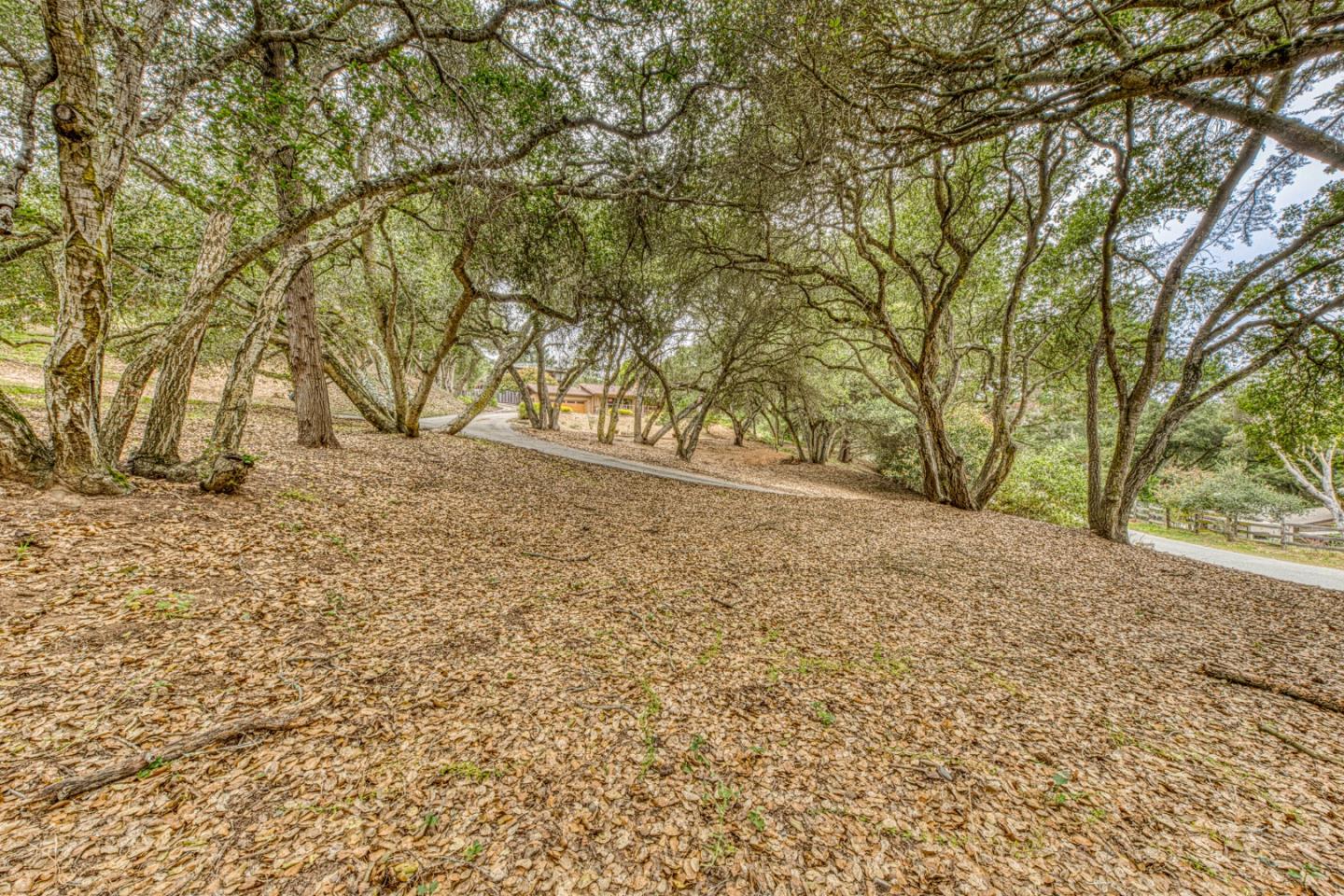 Property photo 49