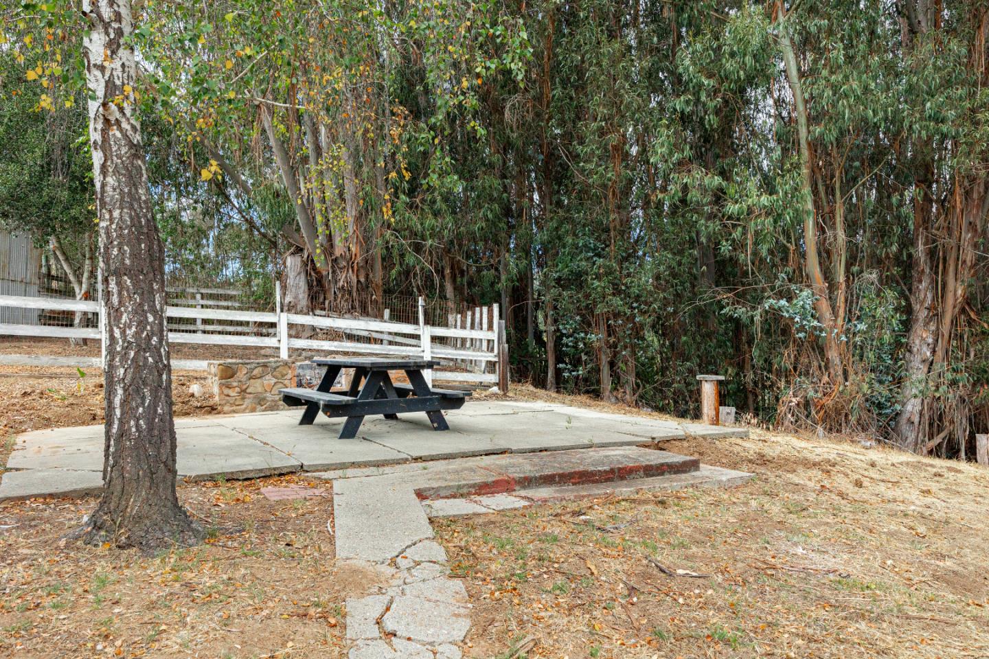Property photo 37