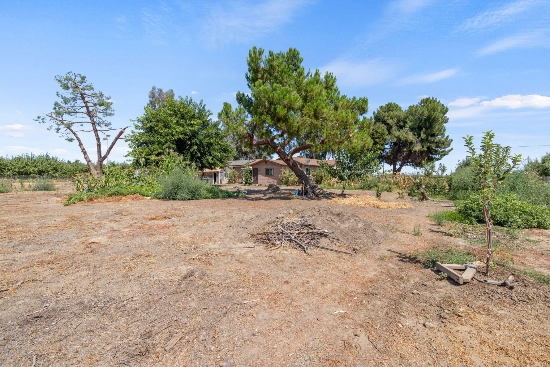 Property photo 36