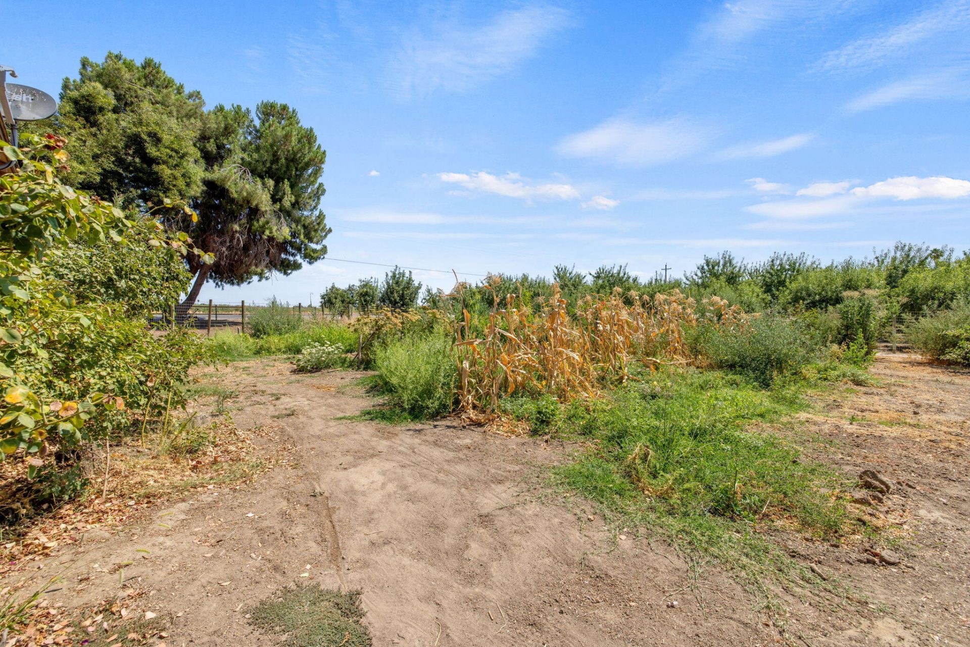 Property photo 44