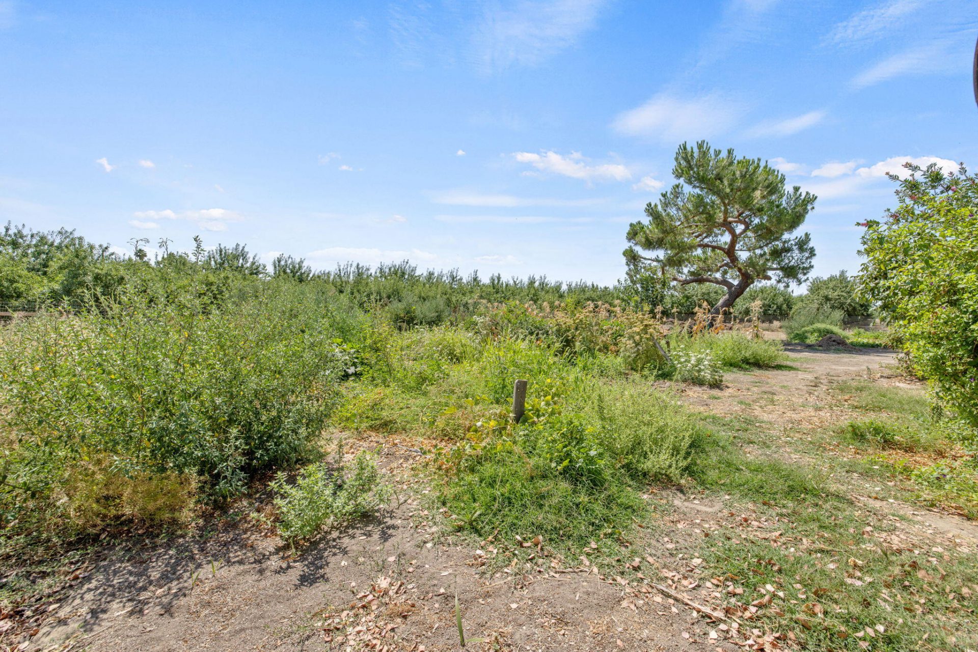 Property photo 45