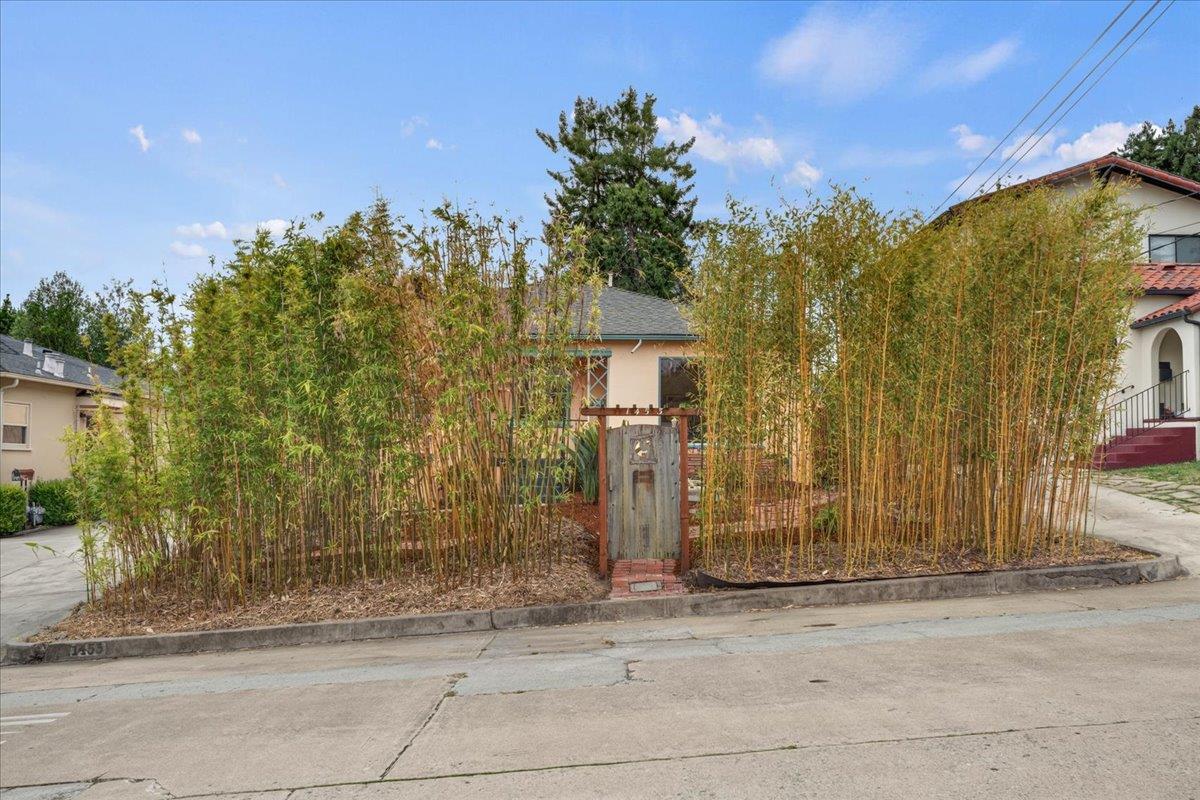 Property photo 39