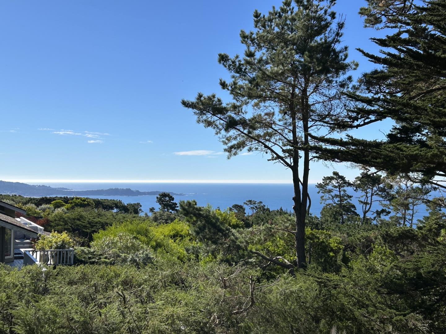 Property photo 39