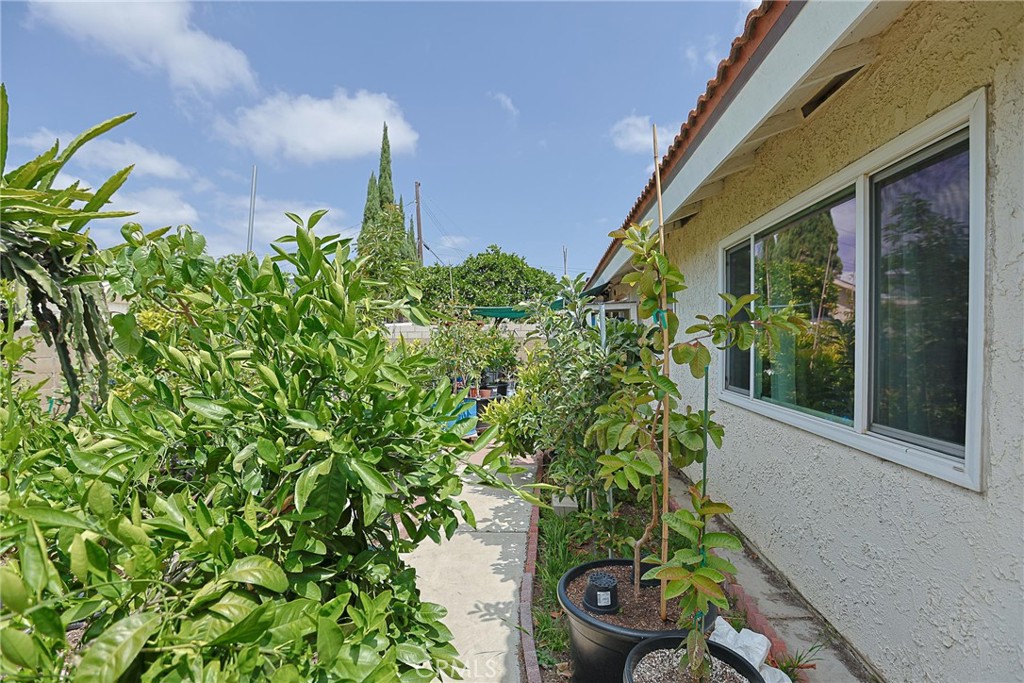 Property photo 49