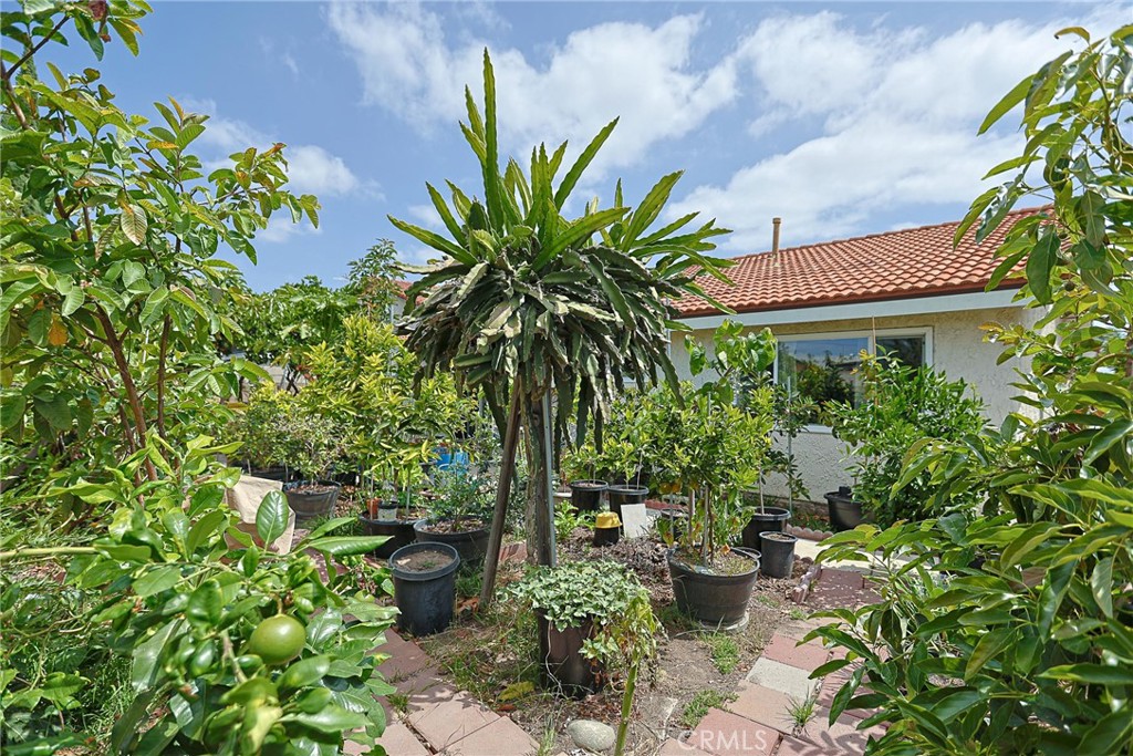 Property photo 50
