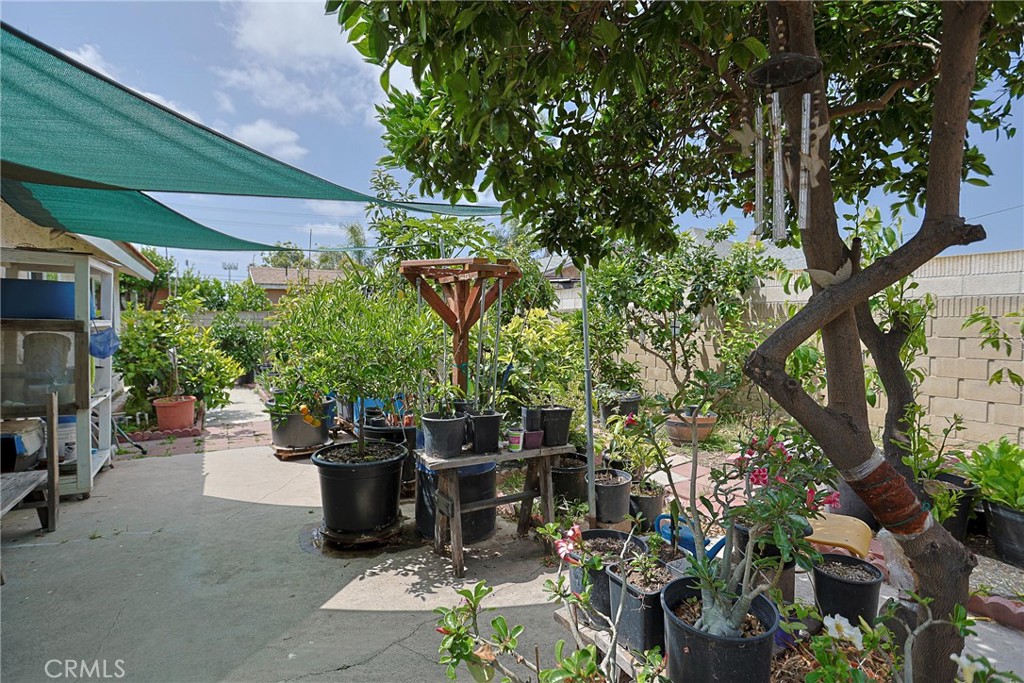 Property photo 51