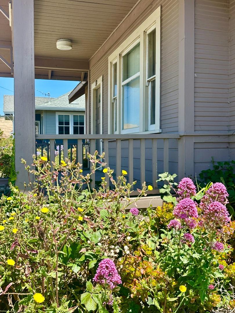 Property photo 42