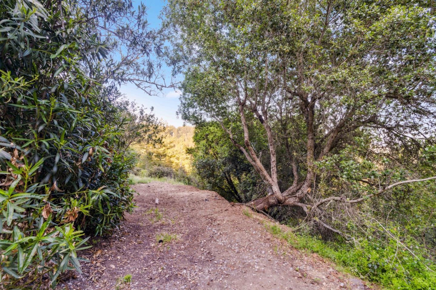 Property photo 39