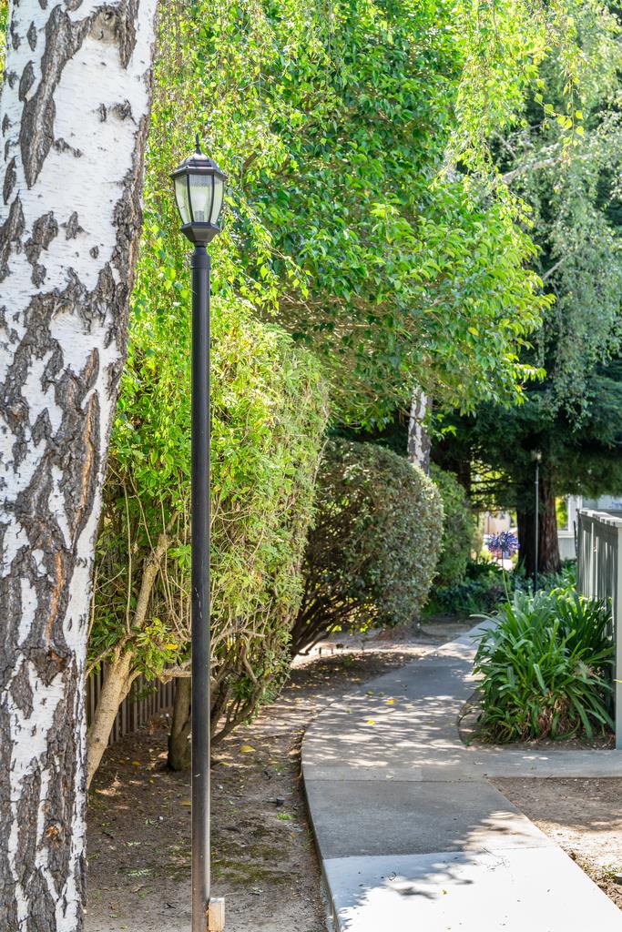 Property photo 51