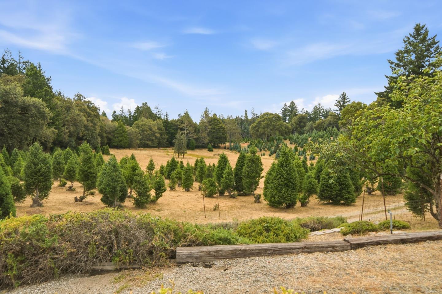Property photo 48