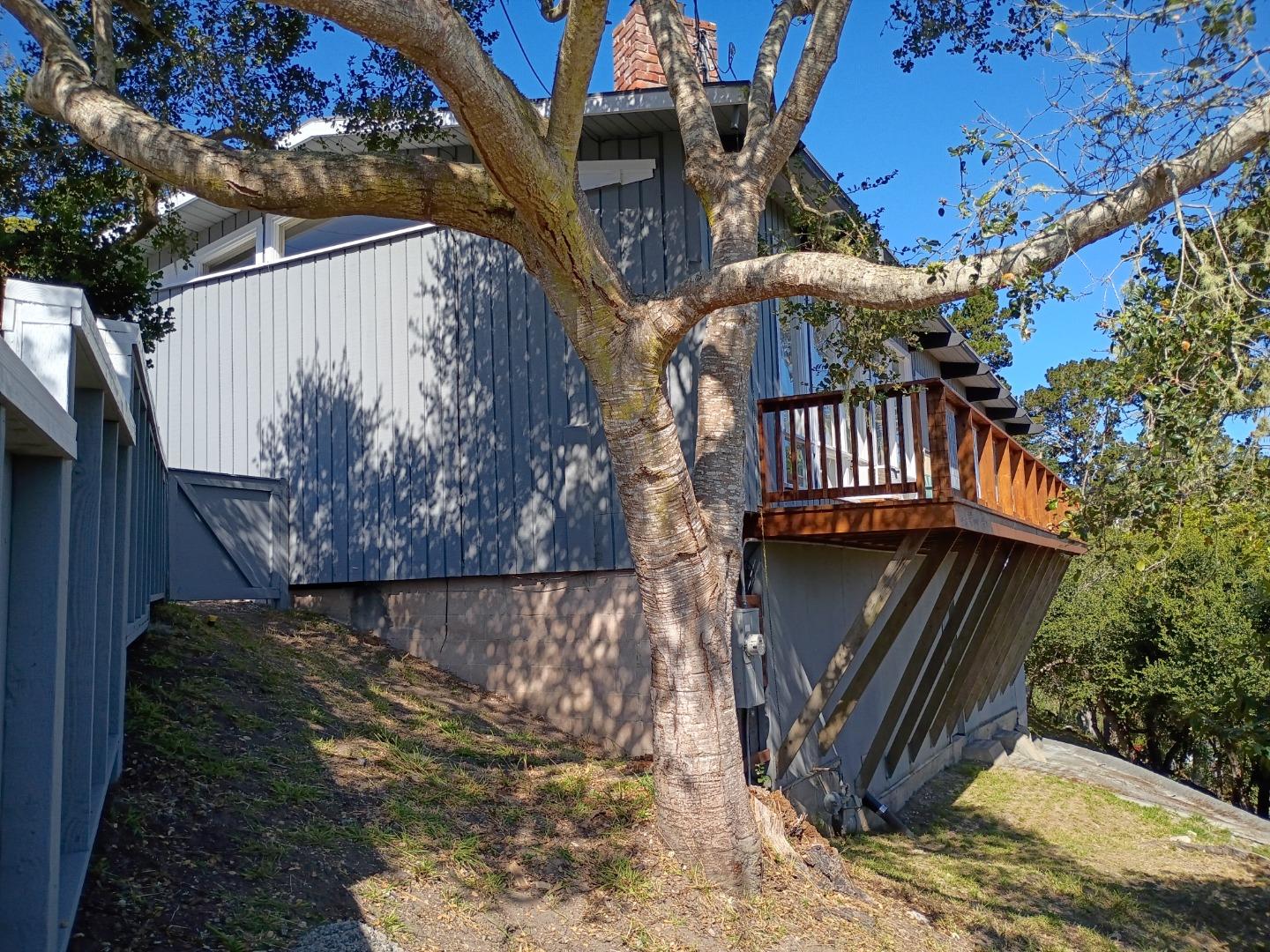 Property photo 39