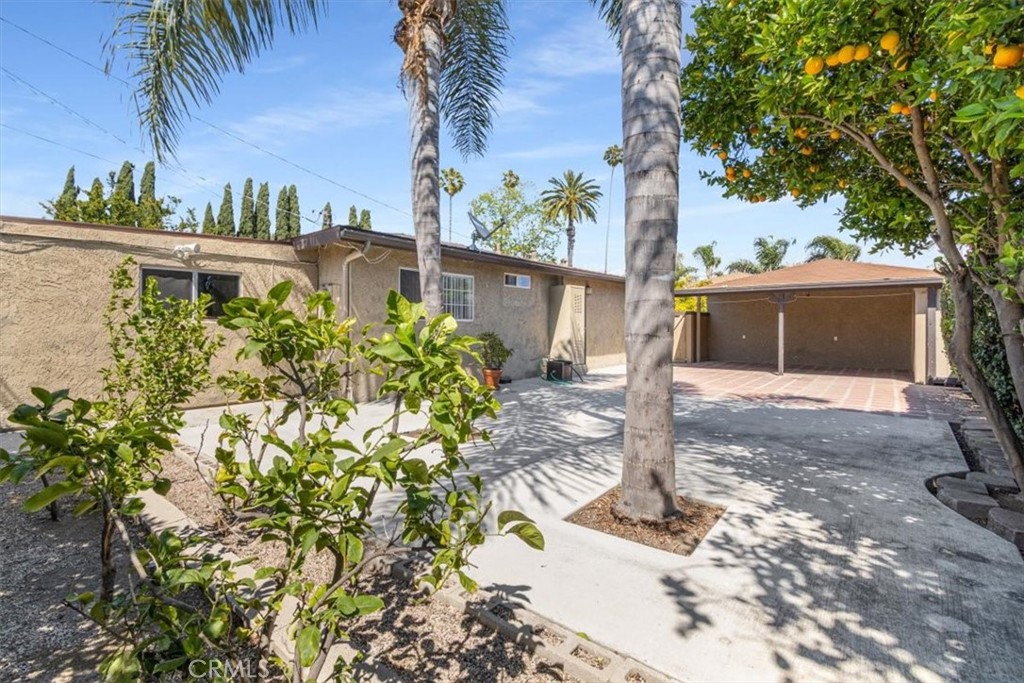 Property photo 49