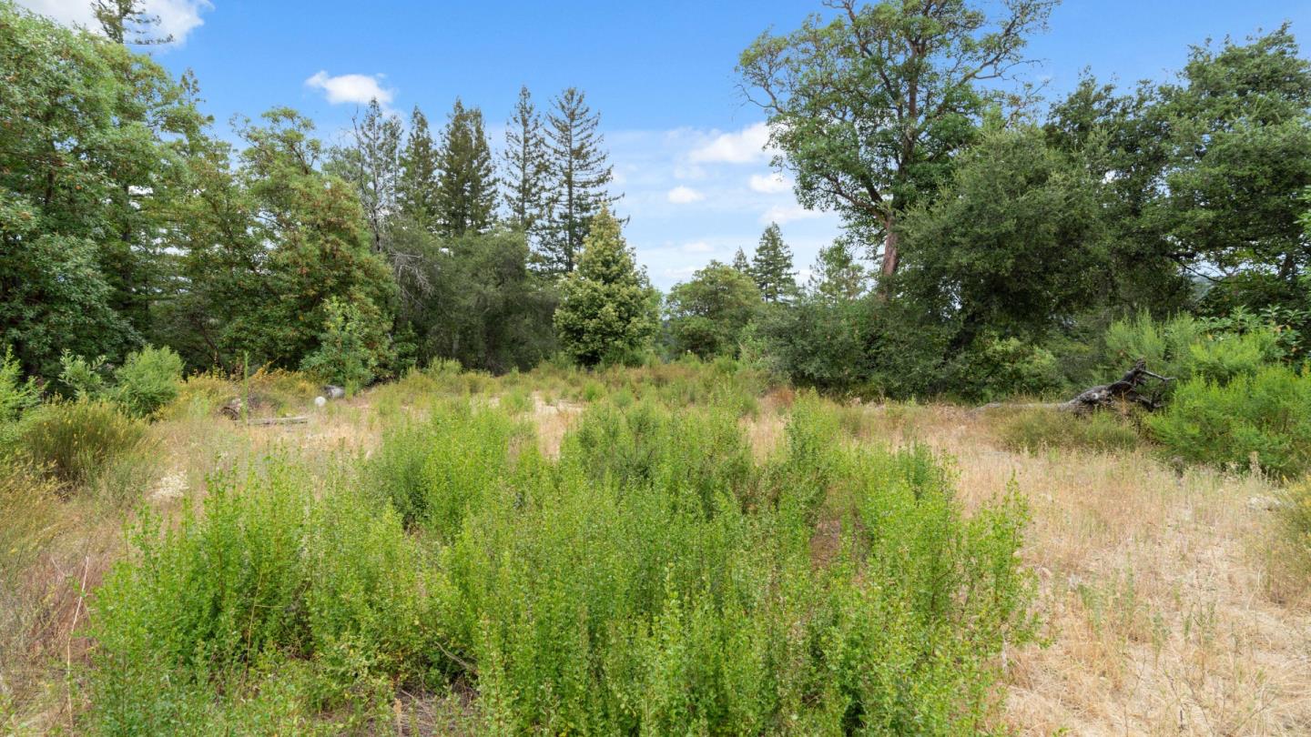 Property photo 28