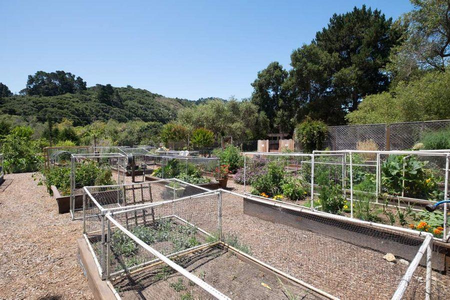 Property photo 35