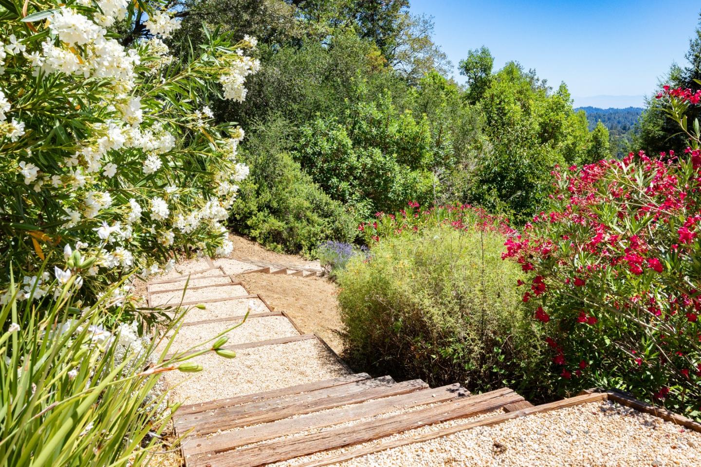 Property photo 50
