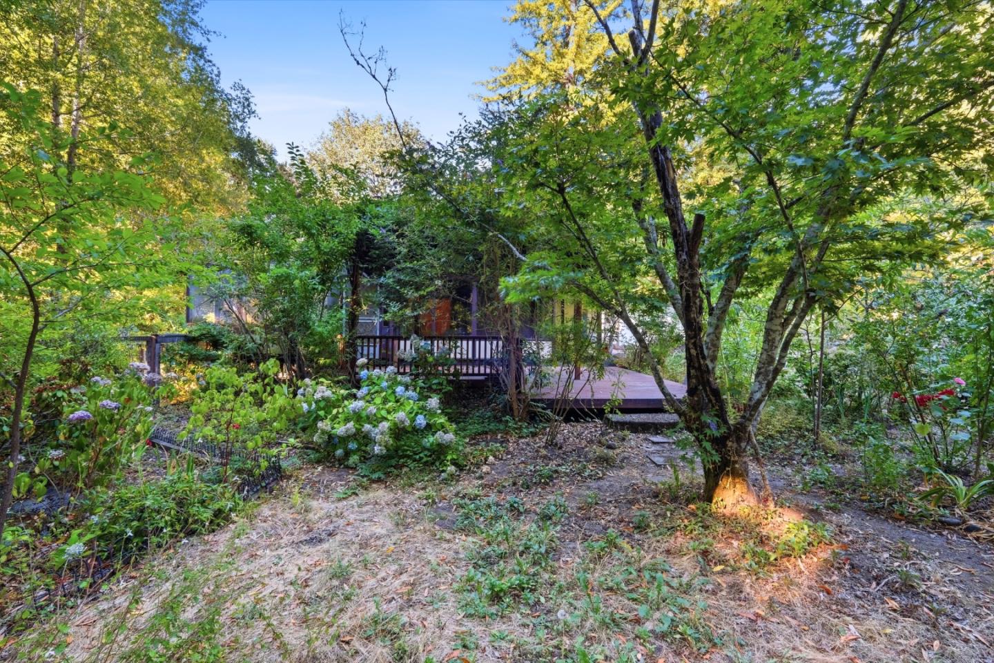 Property photo 40
