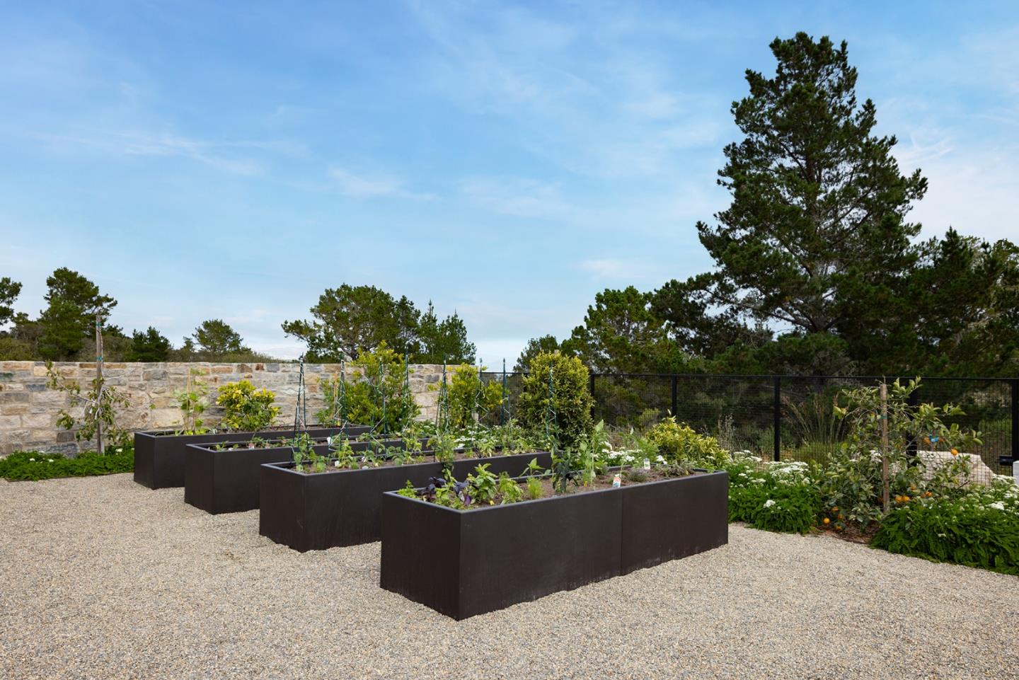 Property photo 42