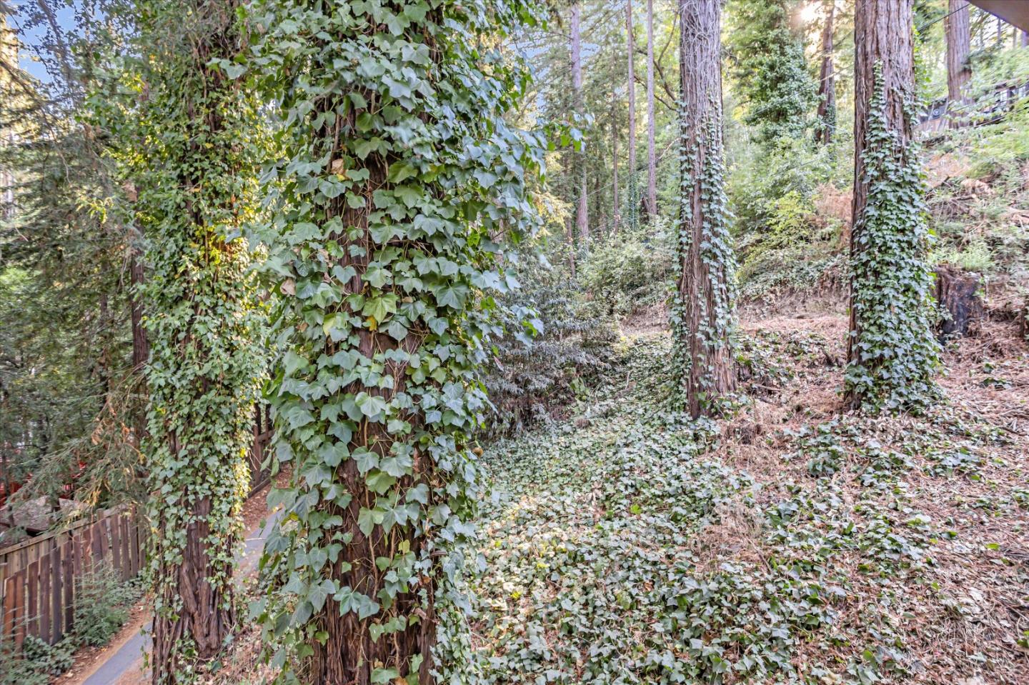 Property photo 35