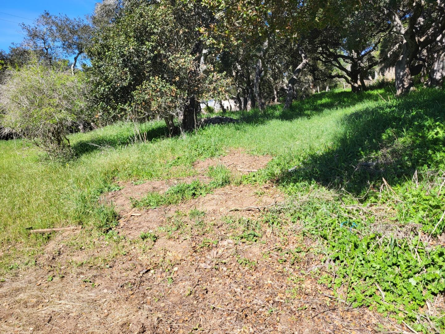 Property photo 37