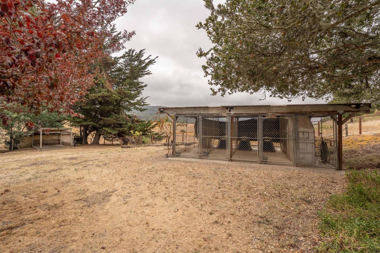 Property photo 49