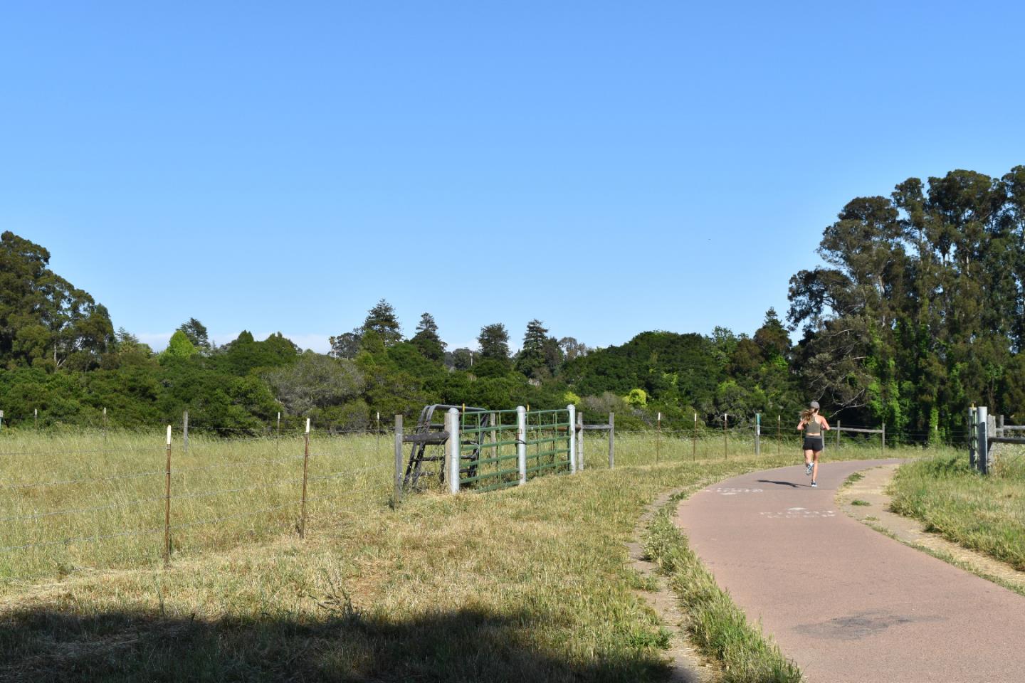 Property photo 42