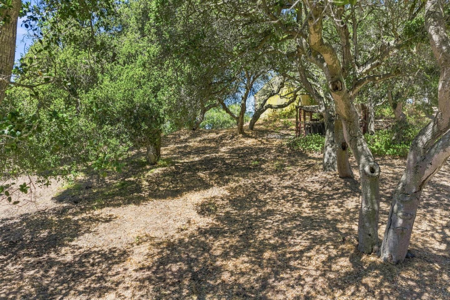 Property photo 30