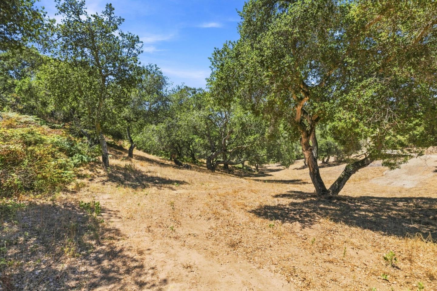 Property photo 32