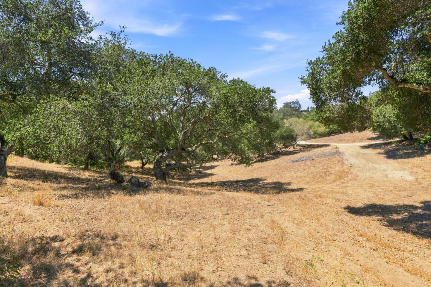 Property photo 33