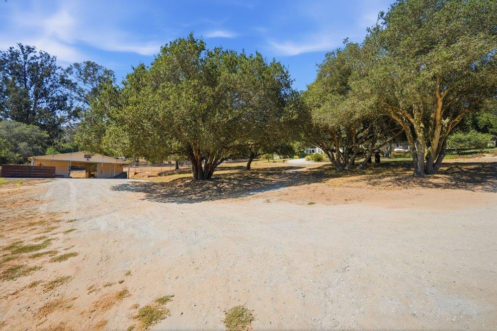 Property photo 48