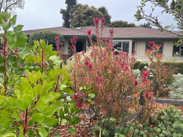 Property photo 39