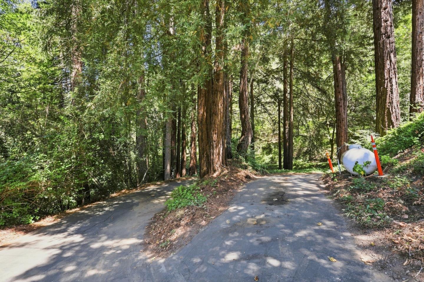 Property photo 49