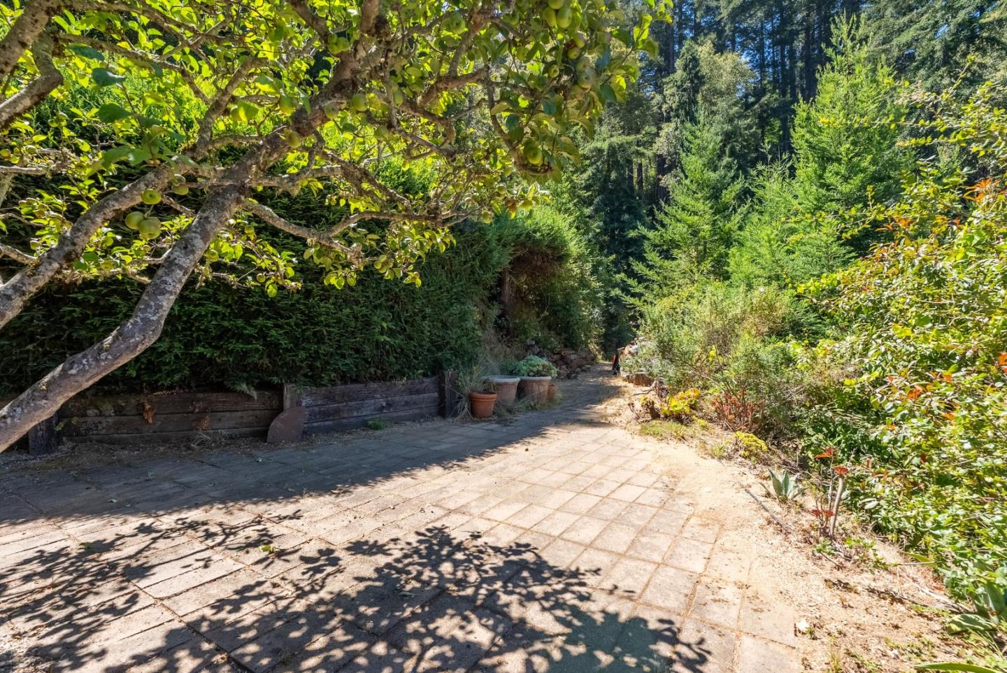 Property photo 44