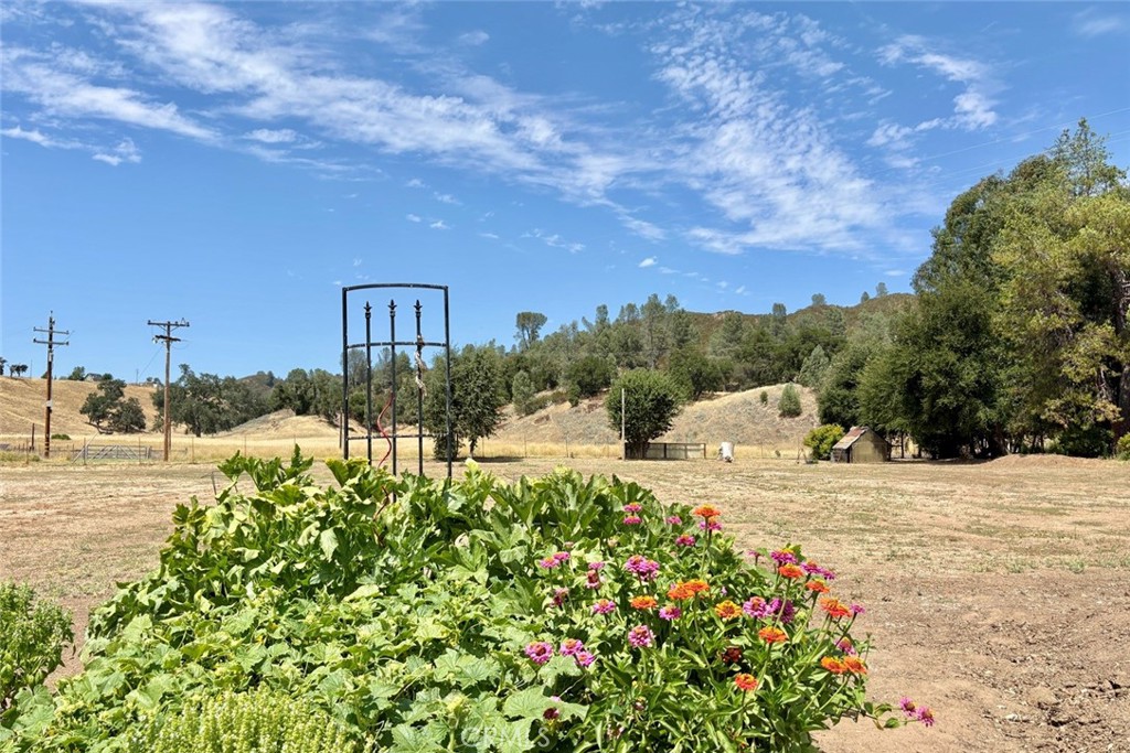 Property photo 41