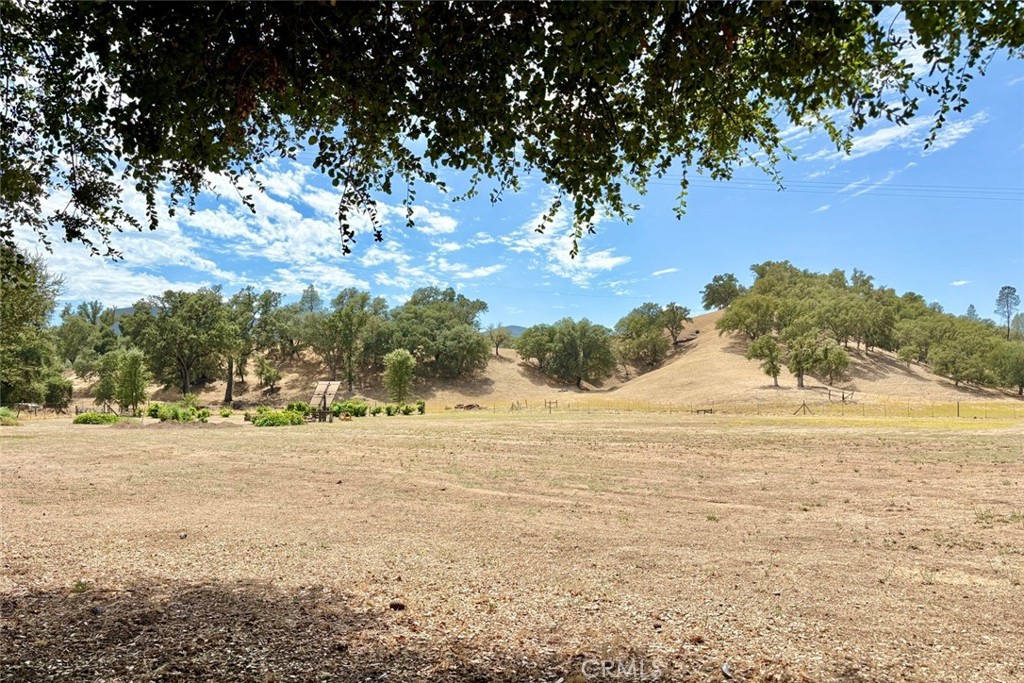 Property photo 44
